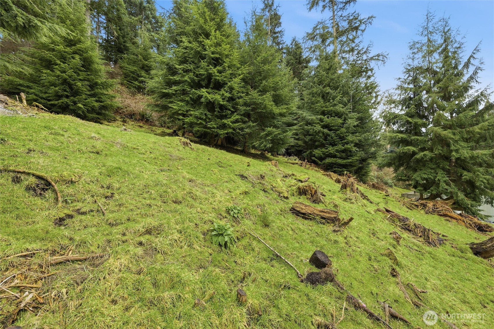 5184 Ridgeline Place Oak Harbor, WA 98277 - Photo 20 of 20