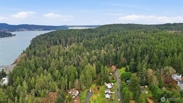 a view of a lush green forest with mountains in the background