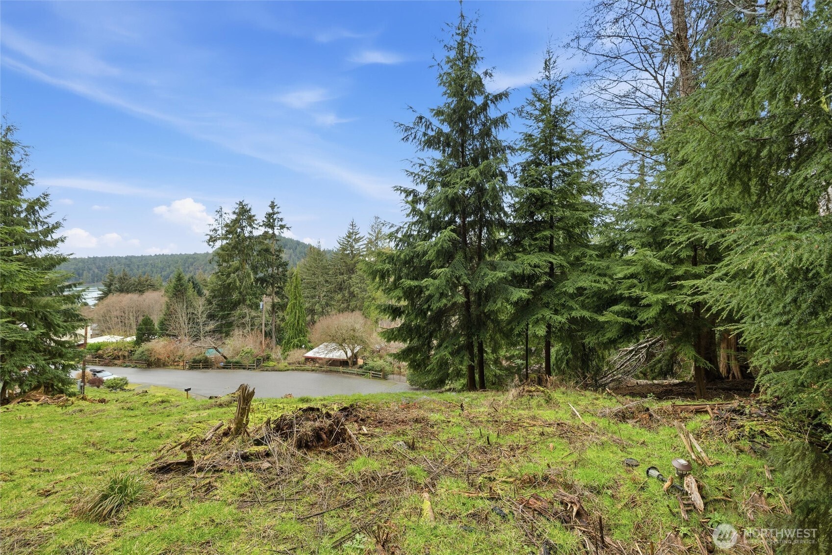 5184 Ridgeline Place Oak Harbor, WA 98277 - Photo 9 of 20 a view of a yard with an trees