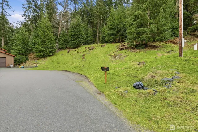 a view of a yard with basketball court