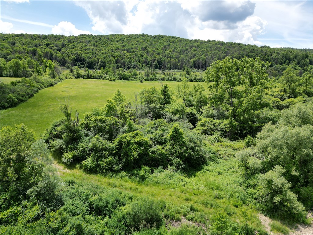 Karr Valley Road Almond, NY 14804 - Photo 5 of 11