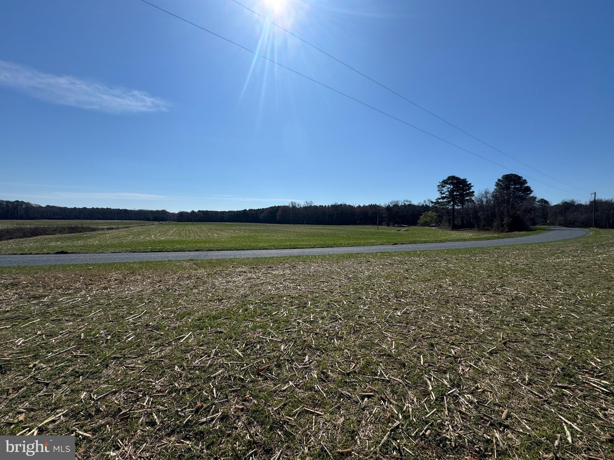 0 East Line Road Parsonsburg, MD 21849 - Photo 8 of 8 Gallery Image 8