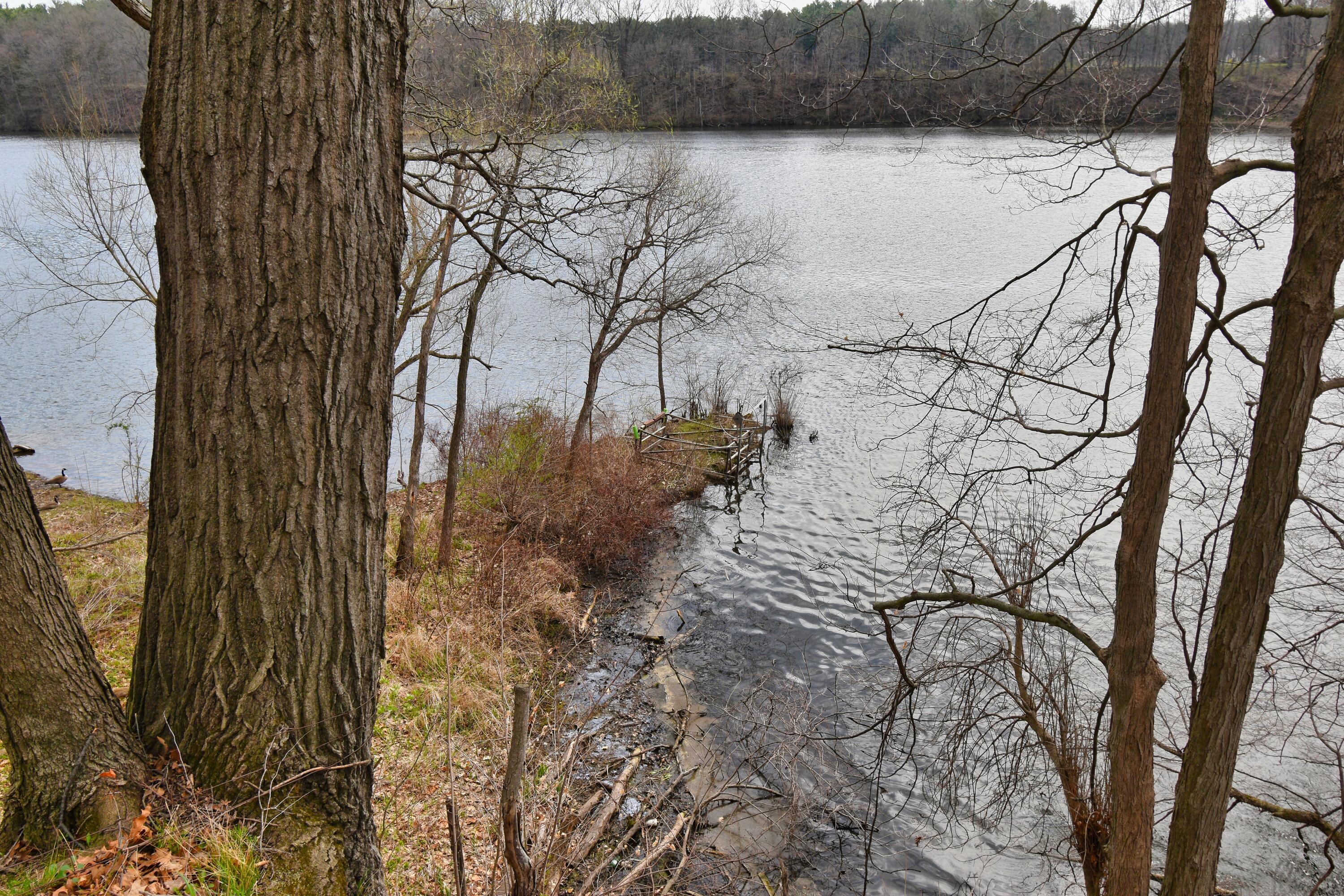 1449 Riverside Road Niles, MI 49120 - Photo 10 of 54 DSC_0898