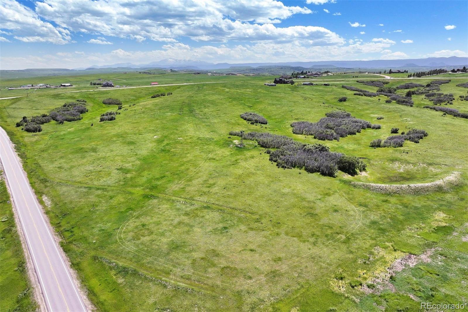 6410 Lake Gulch Road Franktown, CO 80116 - Photo 2 of 8 a view of a bunch of trees in a yard