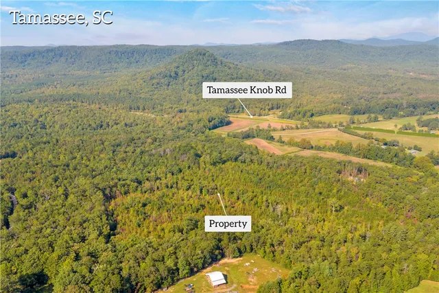 $263,000 | 0 Walking Tall Ridge, Tamassee, SC 29686