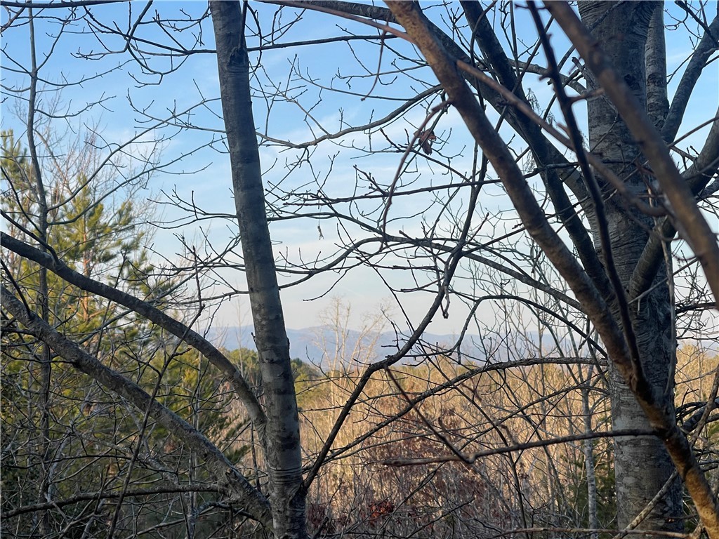 View from build site