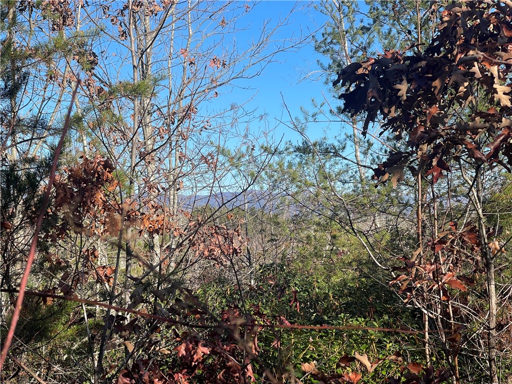 0 Walking Tall Ridge Tamassee, SC 29686 - Photo 12 of 50