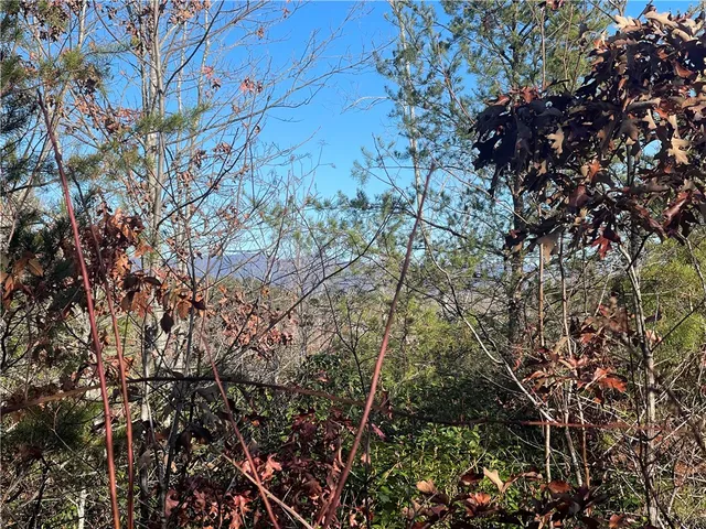 $263,000 | 0 Walking Tall Ridge, Tamassee, SC 29686