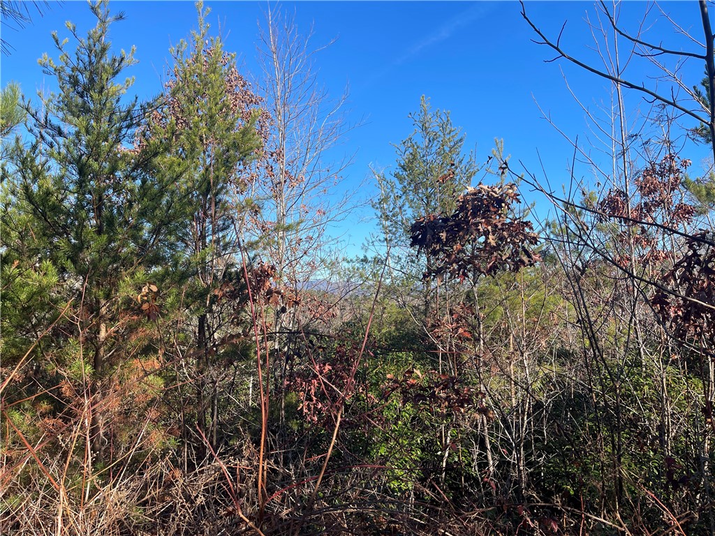 0 Walking Tall Ridge Tamassee, SC 29686 - Photo 14 of 50