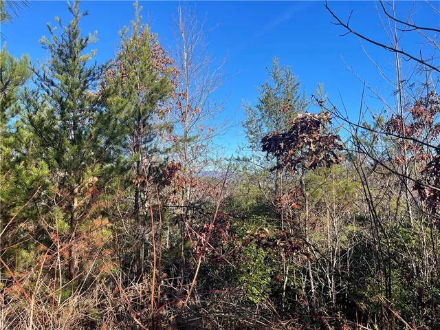 $263,000 | 0 Walking Tall Ridge, Tamassee, SC 29686