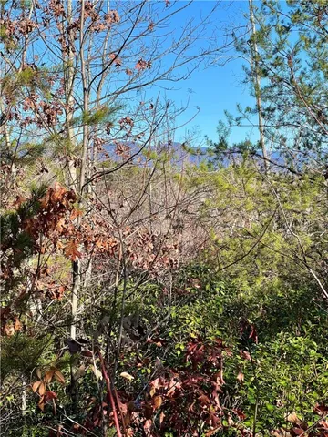 $263,000 | 0 Walking Tall Ridge, Tamassee, SC 29686