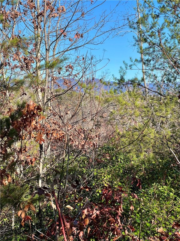 0 Walking Tall Ridge Tamassee, SC 29686 - Photo 16 of 50