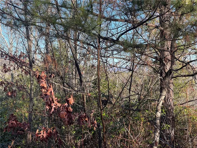 $263,000 | 0 Walking Tall Ridge, Tamassee, SC 29686