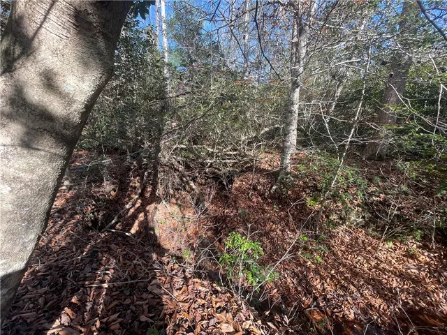 $263,000 | 0 Walking Tall Ridge, Tamassee, SC 29686