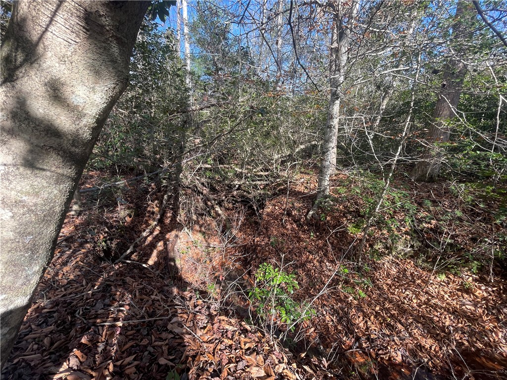 0 Walking Tall Ridge Tamassee, SC 29686 - Photo 19 of 50