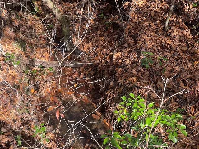 $263,000 | 0 Walking Tall Ridge, Tamassee, SC 29686