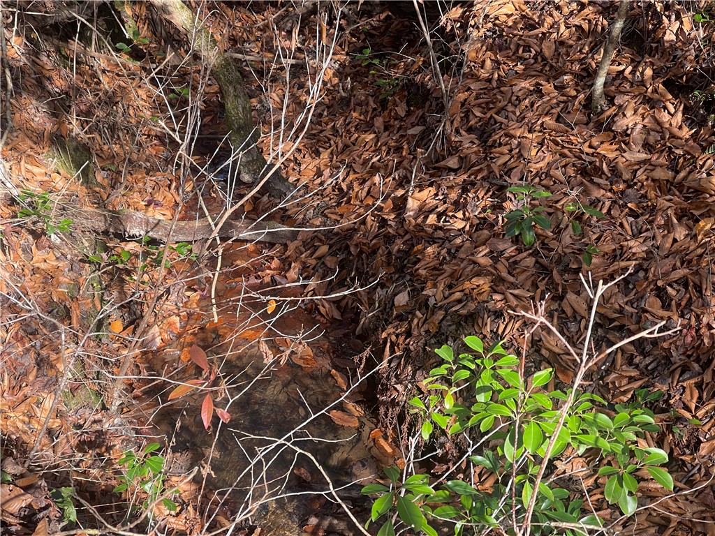 0 Walking Tall Ridge Tamassee, SC 29686 - Photo 20 of 50