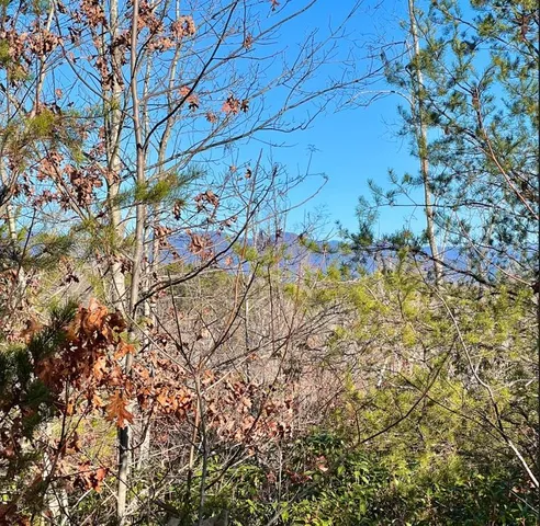 $263,000 | 0 Walking Tall Ridge, Tamassee, SC 29686