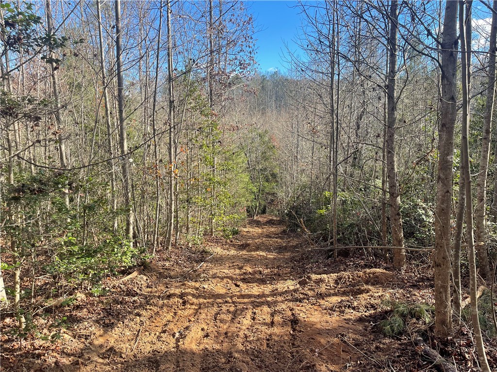0 Walking Tall Ridge Tamassee, SC 29686 - Photo 21 of 50