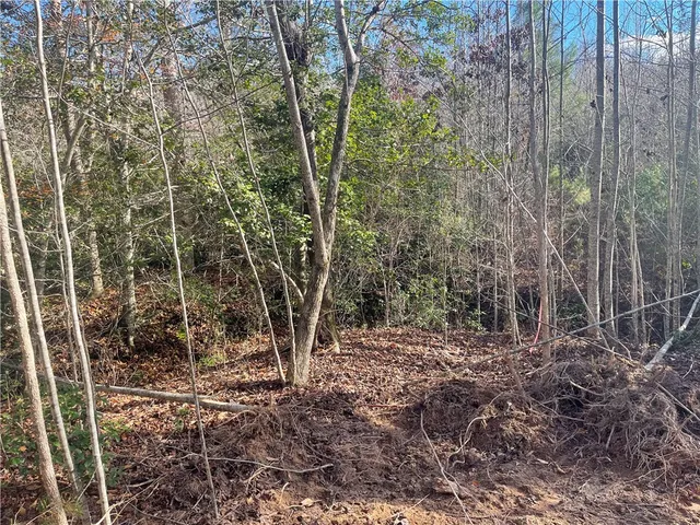$263,000 | 0 Walking Tall Ridge, Tamassee, SC 29686