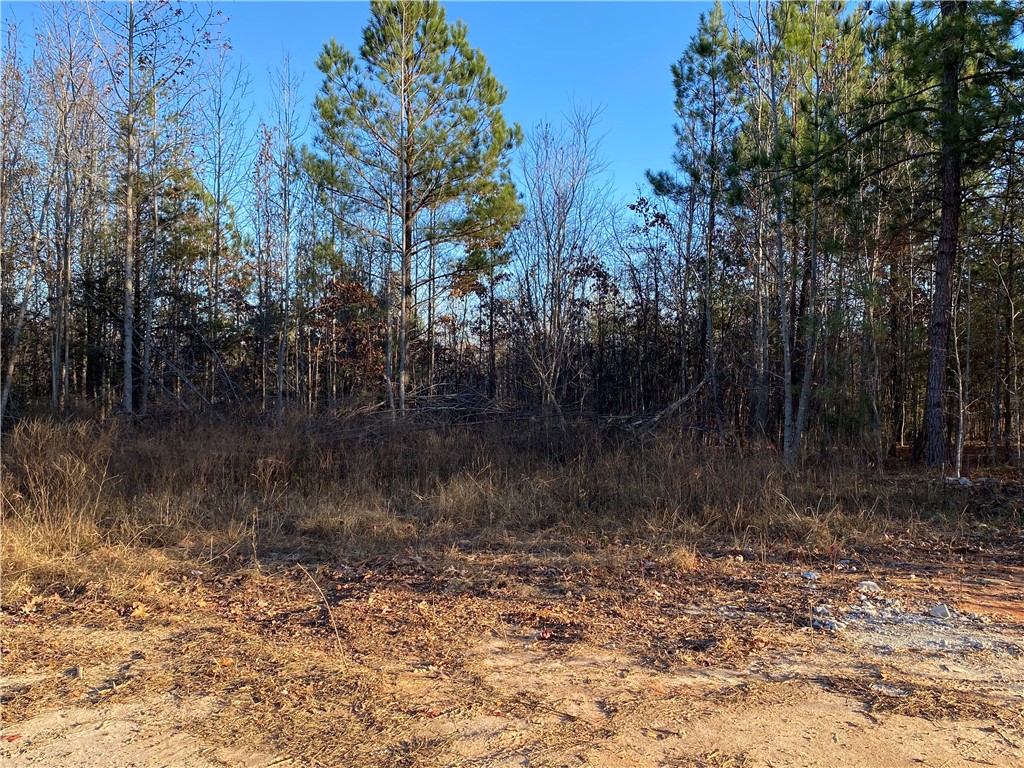 0 Walking Tall Ridge Tamassee, SC 29686 - Photo 24 of 50