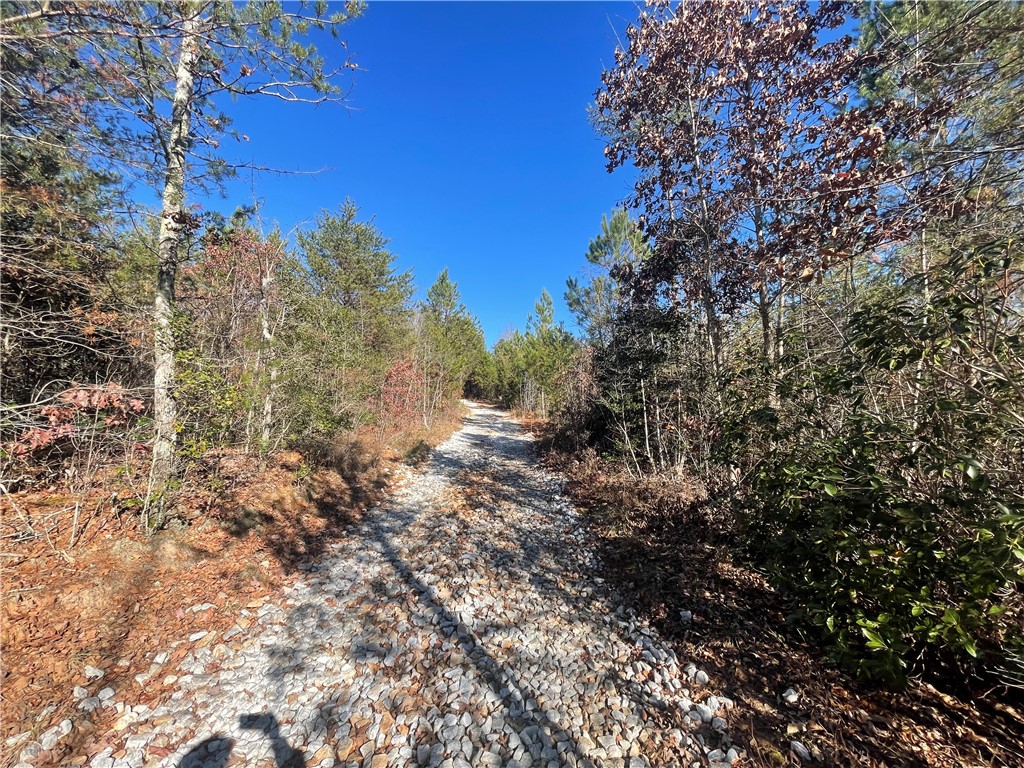 0 Walking Tall Ridge Tamassee, SC 29686 - Photo 25 of 50