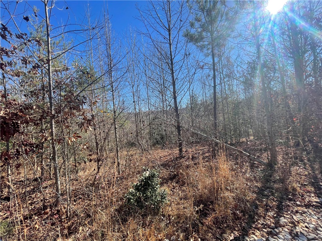 0 Walking Tall Ridge Tamassee, SC 29686 - Photo 26 of 50