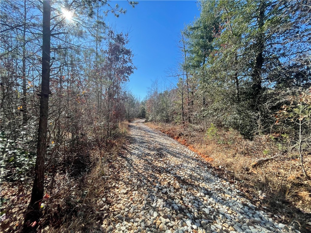 0 Walking Tall Ridge Tamassee, SC 29686 - Photo 27 of 50