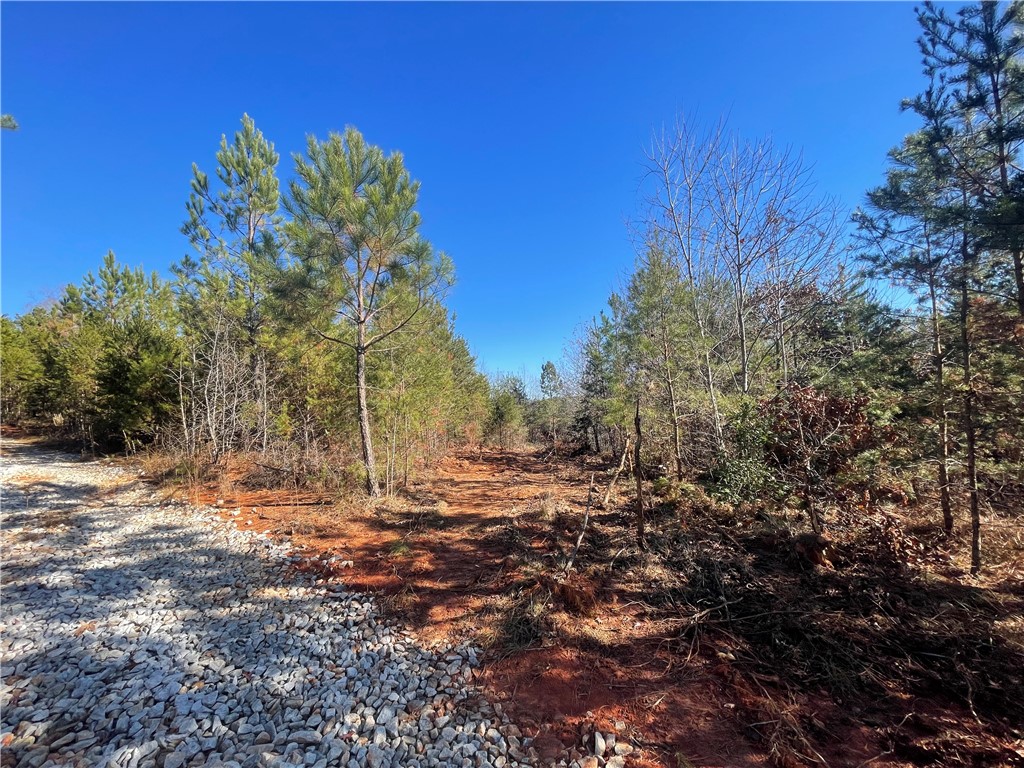 0 Walking Tall Ridge Tamassee, SC 29686 - Photo 28 of 50