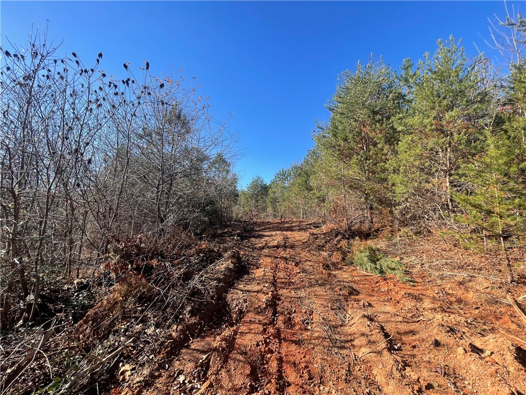 0 Walking Tall Ridge Tamassee, SC 29686 - Photo 29 of 50