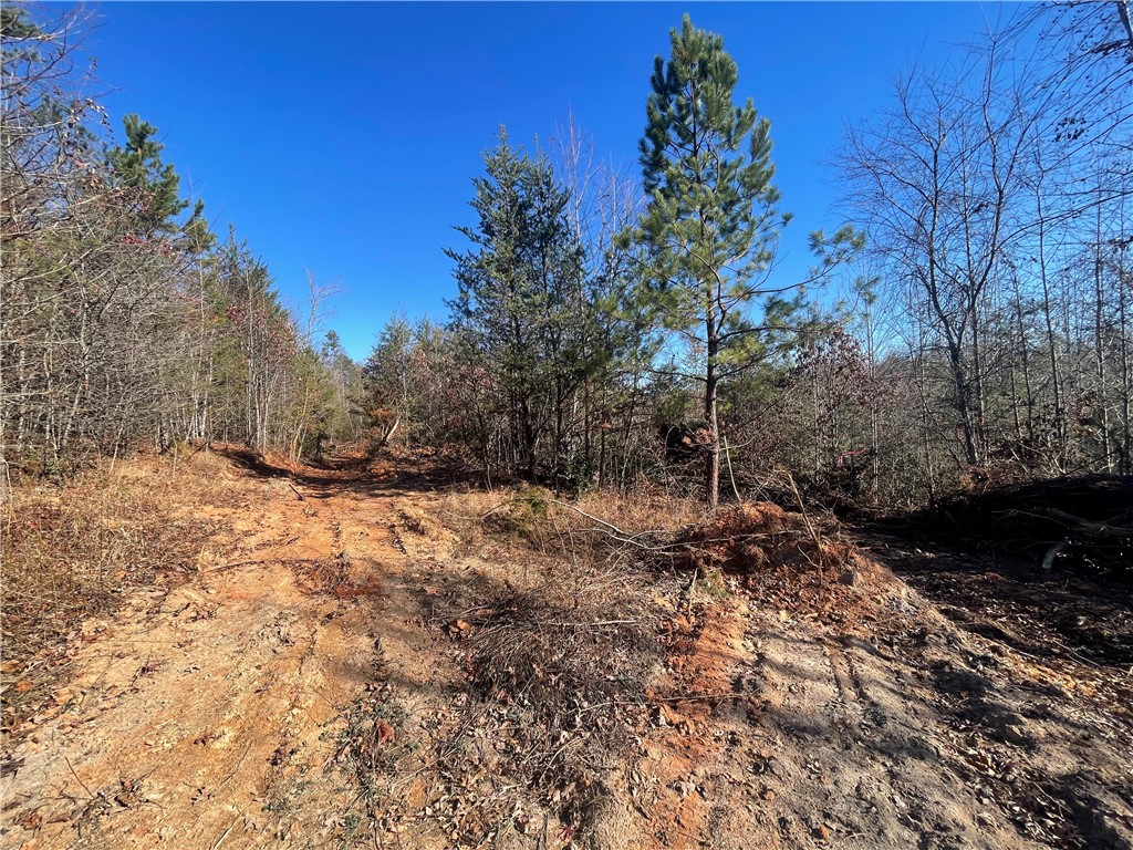 0 Walking Tall Ridge Tamassee, SC 29686 - Photo 30 of 50