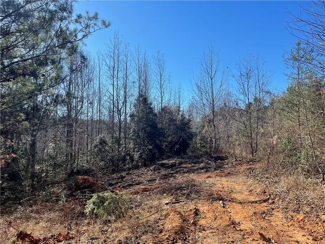 $263,000 | 0 Walking Tall Ridge, Tamassee, SC 29686