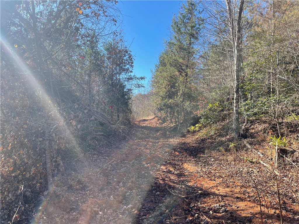 0 Walking Tall Ridge Tamassee, SC 29686 - Photo 33 of 50
