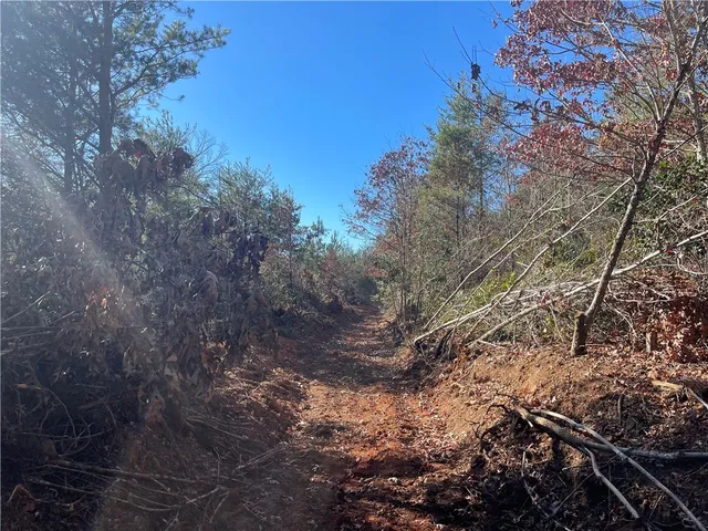 $263,000 | 0 Walking Tall Ridge, Tamassee, SC 29686