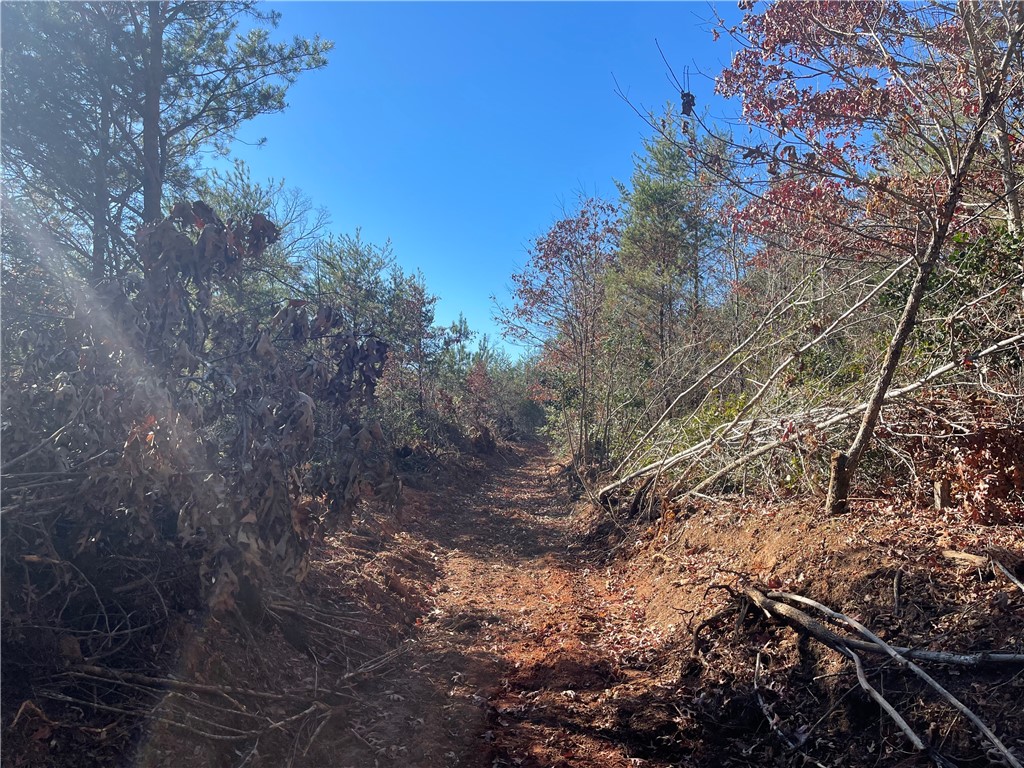 0 Walking Tall Ridge Tamassee, SC 29686 - Photo 34 of 50