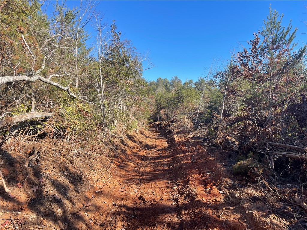 0 Walking Tall Ridge Tamassee, SC 29686 - Photo 35 of 50