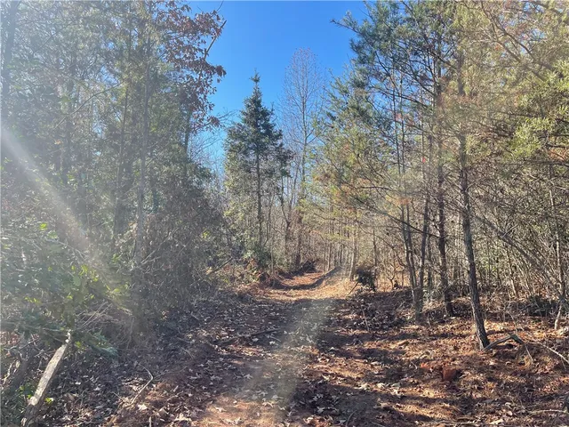 $263,000 | 0 Walking Tall Ridge, Tamassee, SC 29686