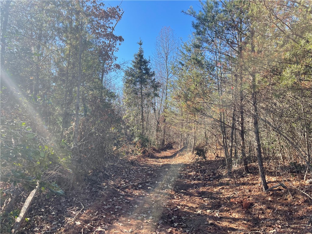 0 Walking Tall Ridge Tamassee, SC 29686 - Photo 36 of 50