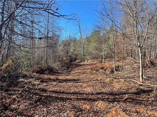 $263,000 | 0 Walking Tall Ridge, Tamassee, SC 29686