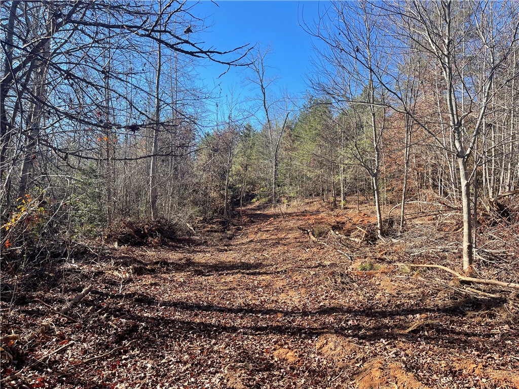 0 Walking Tall Ridge Tamassee, SC 29686 - Photo 37 of 50
