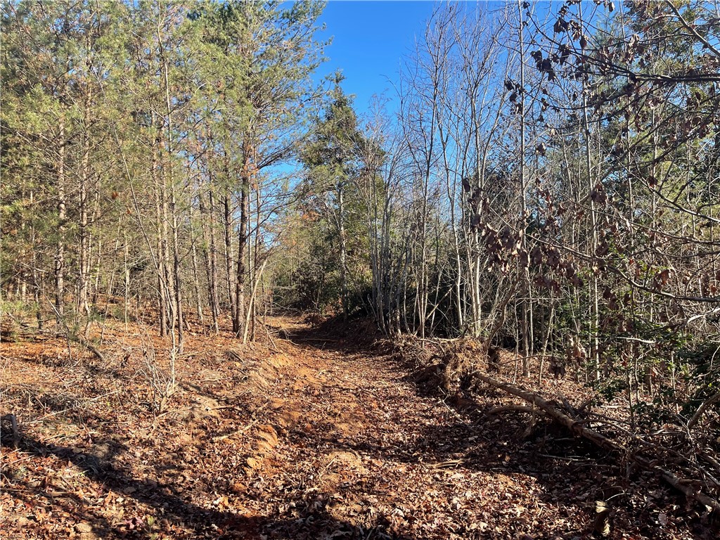 0 Walking Tall Ridge Tamassee, SC 29686 - Photo 38 of 50