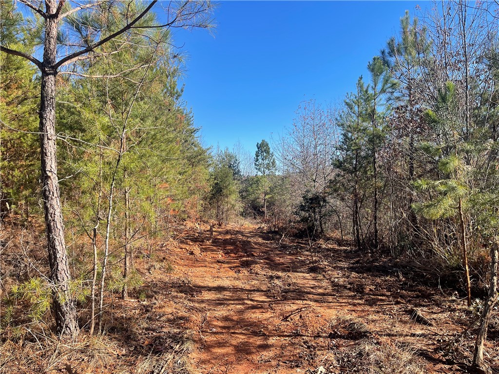 0 Walking Tall Ridge Tamassee, SC 29686 - Photo 39 of 50