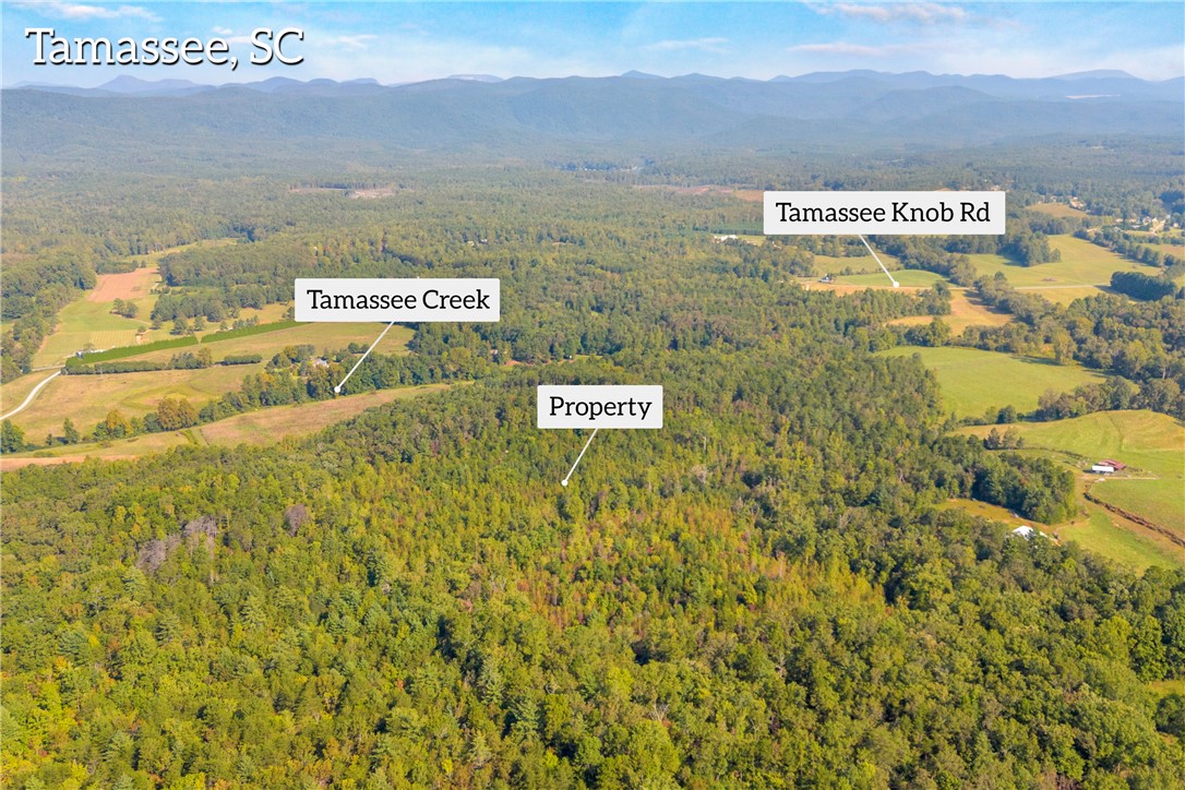 0 Walking Tall Ridge Tamassee, SC 29686 - Photo 40 of 50