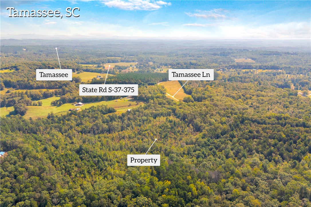 0 Walking Tall Ridge Tamassee, SC 29686 - Photo 41 of 50