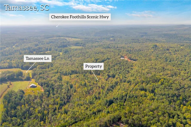 $263,000 | 0 Walking Tall Ridge, Tamassee, SC 29686