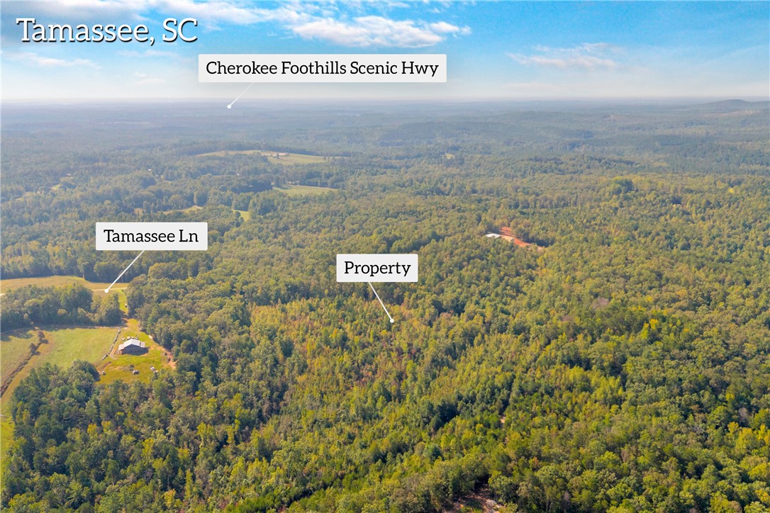 0 Walking Tall Ridge Tamassee, SC 29686 - Photo 42 of 50