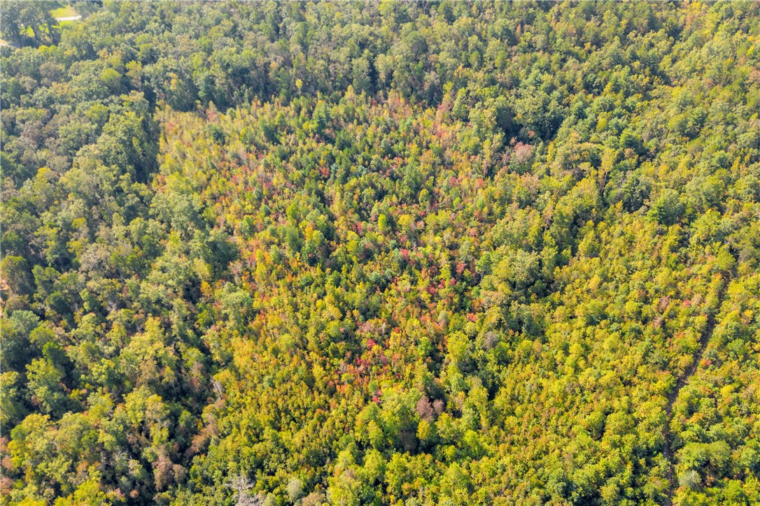 0 Walking Tall Ridge Tamassee, SC 29686 - Photo 43 of 50