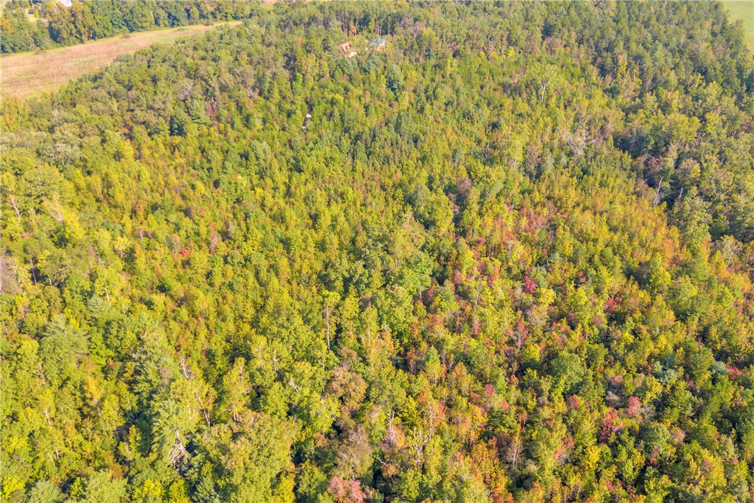 0 Walking Tall Ridge Tamassee, SC 29686 - Photo 44 of 50