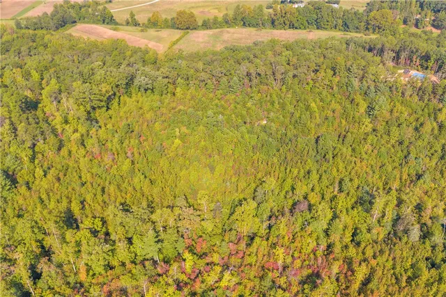 $263,000 | 0 Walking Tall Ridge, Tamassee, SC 29686