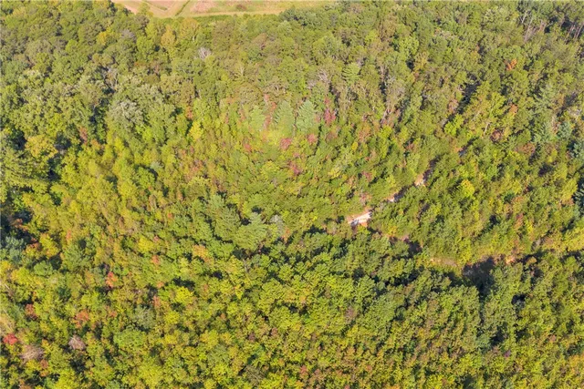 $263,000 | 0 Walking Tall Ridge, Tamassee, SC 29686